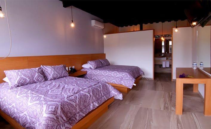 Villa Gallaecia G&S Con 10 Habitaciones Santa Catarina  외부 사진